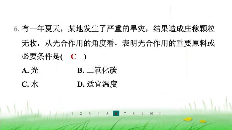 冀少版八年级生物上册第三单元第二节光合作用的原料课件第8页
