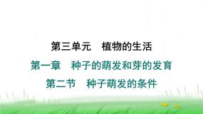 冀少版（2024）八年级上册第二节  种子萌发的条件多媒体教学ppt课件