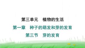 冀少版（2024）八年级上册第三节 芽的发育课文课件ppt