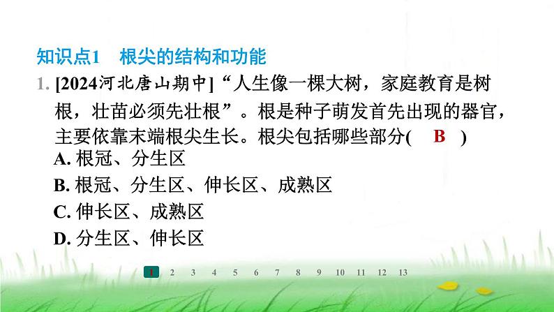 冀少版八年级生物上册第三单元第一节根的生长课件02