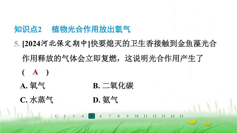 冀少版八年级生物上册第三单元第一节光合作用的产物课件第6页
