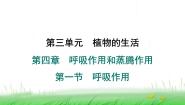 初中生物冀少版（2024）八年级上册第一节 呼吸作用课文内容ppt课件