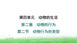 冀少版八年级生物上册第四单元第二节动物行为的类型课件