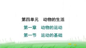 冀少版（2024）八年级上册第一节 运动的基础多媒体教学ppt课件