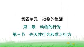 初中生物第三节 先天性行为和学习课堂教学ppt课件