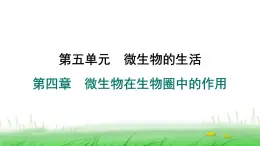 冀少版八年级生物上册第四章微生物在生物圈中的作用课件