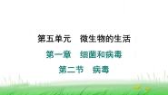 冀少版（2024）八年级上册第二节 病毒教课ppt课件