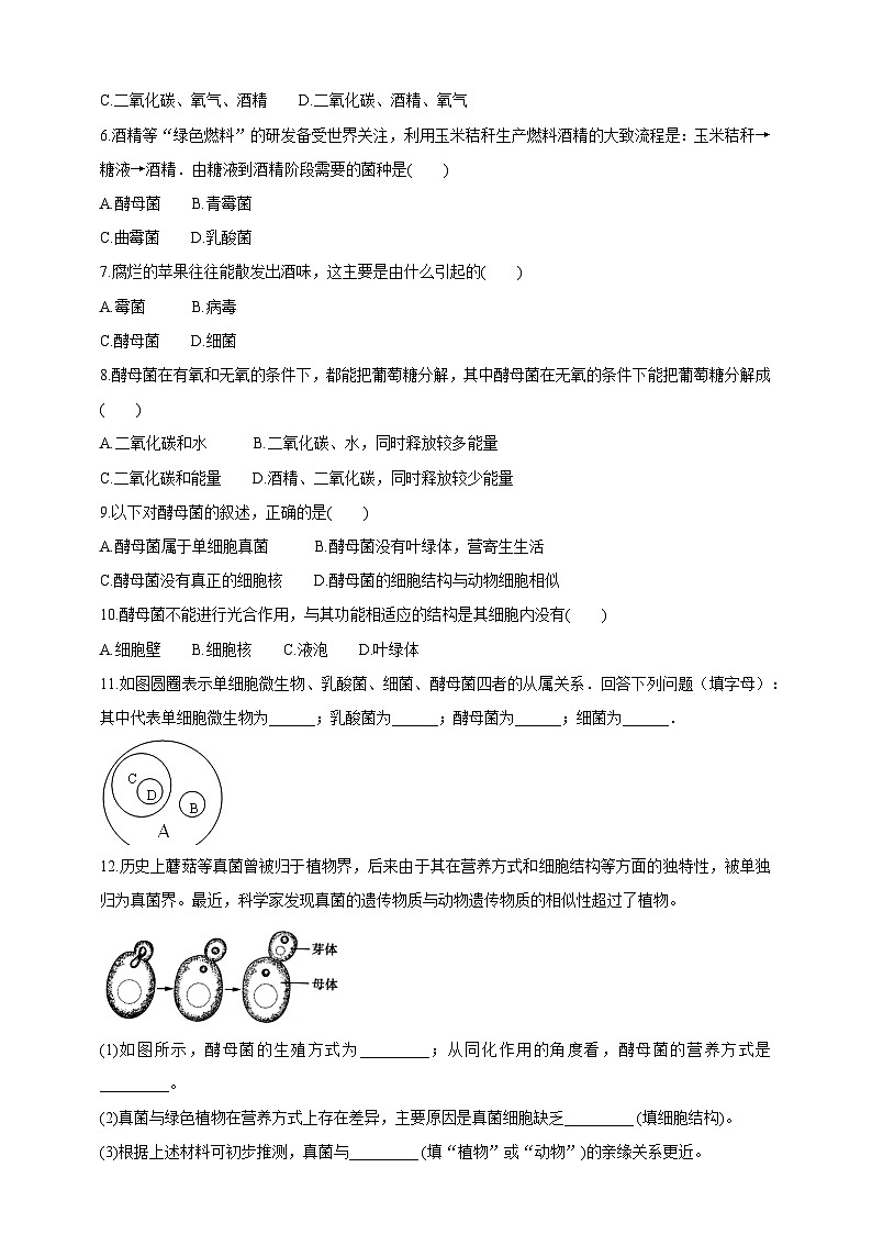 【新课标】冀少版生物八上5.2.1《酵母菌和霉菌--1酵母菌》课件+教案+学案03