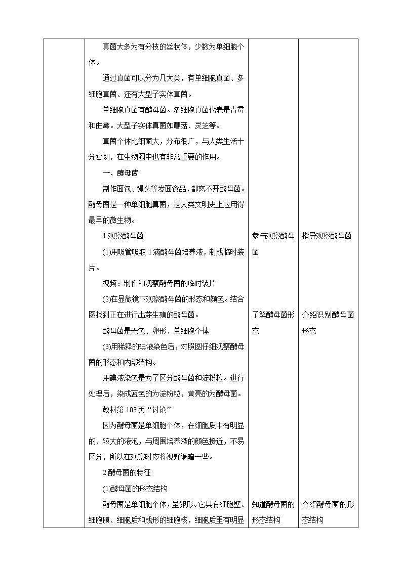 【新课标】冀少版生物八上5.2.1《酵母菌和霉菌--1酵母菌》课件+教案+学案02