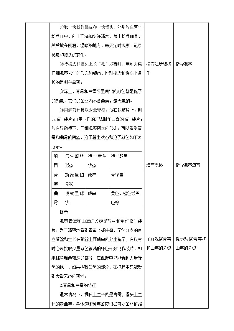 【新课标】冀少版生物八上5.2.1《酵母菌和霉菌--2霉菌》课件+教案+学案02