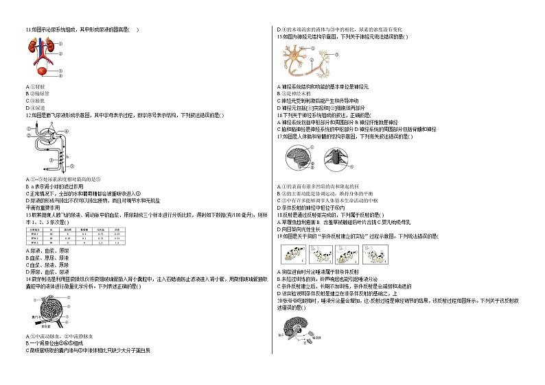 江苏省徐州市2023-2024学年八年级上学期期中生物试卷02