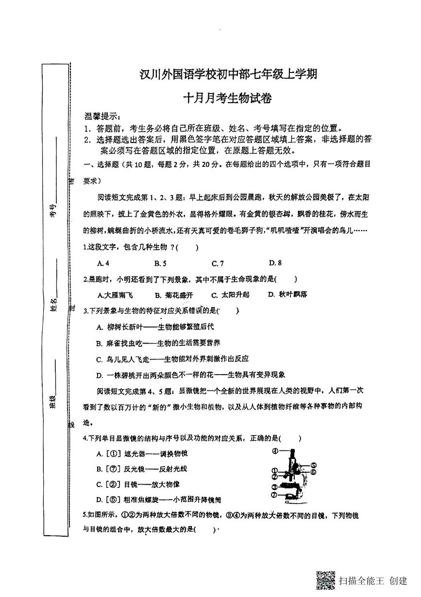 湖北省孝感市汉川外国语学校2024-2025学年七年级上学期10月月考生物试卷