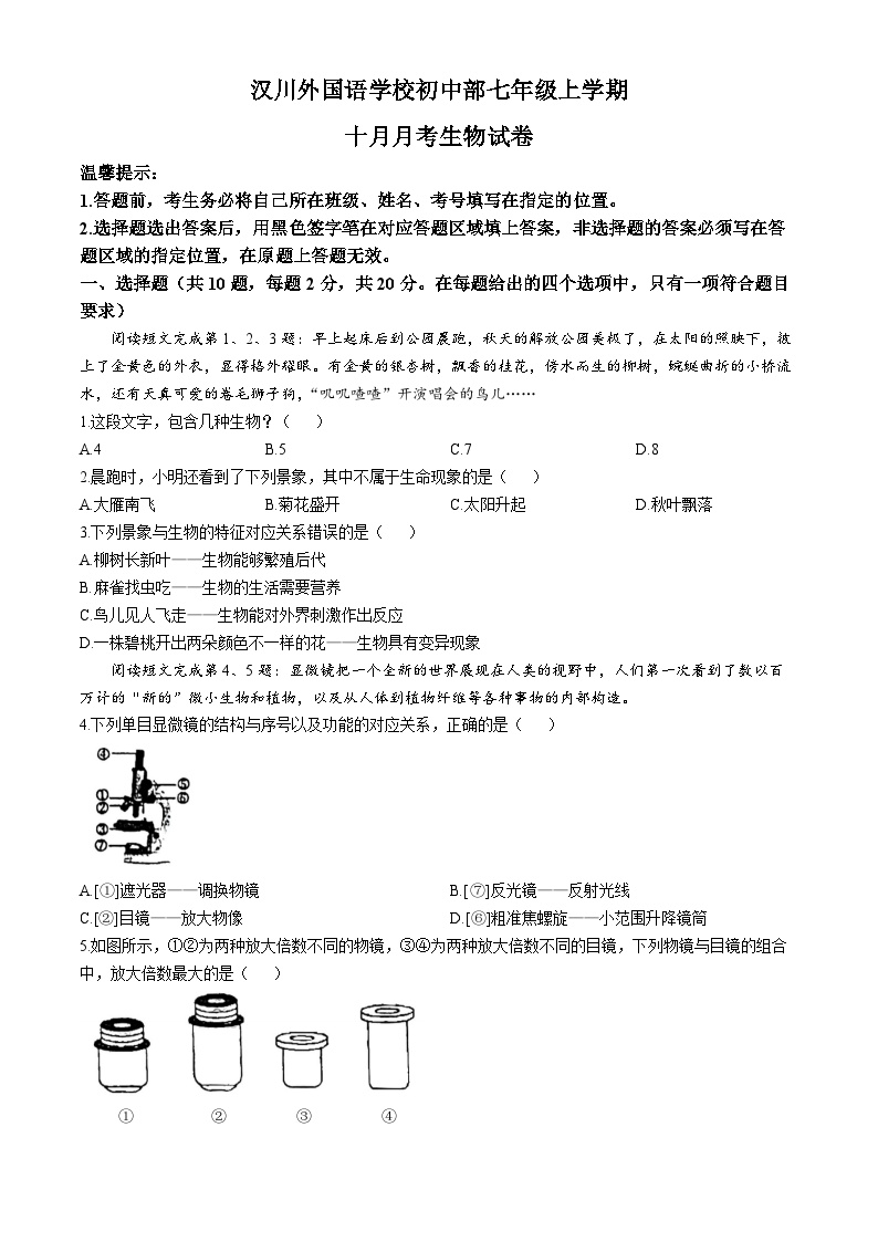 湖北省孝感市汉川外国语学校2024-2025学年七年级上学期10月月考生物试卷