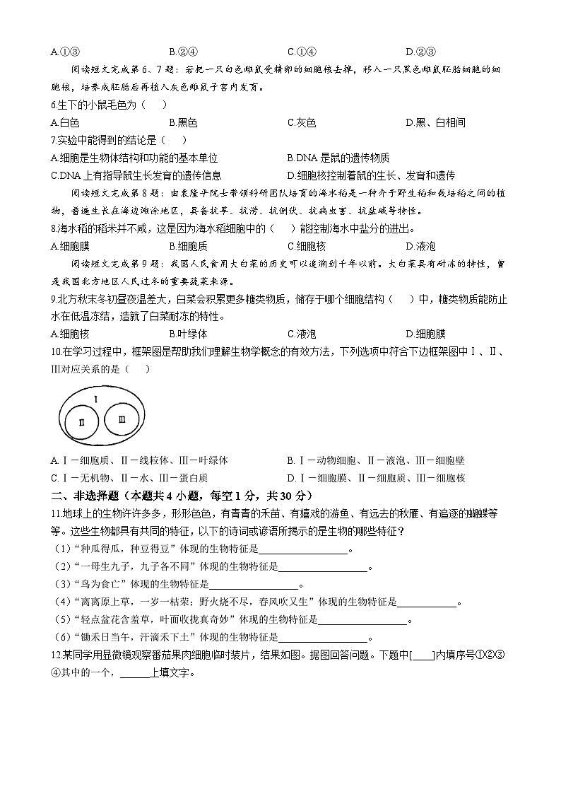 湖北省孝感市汉川外国语学校2024-2025学年七年级上学期10月月考生物试卷02