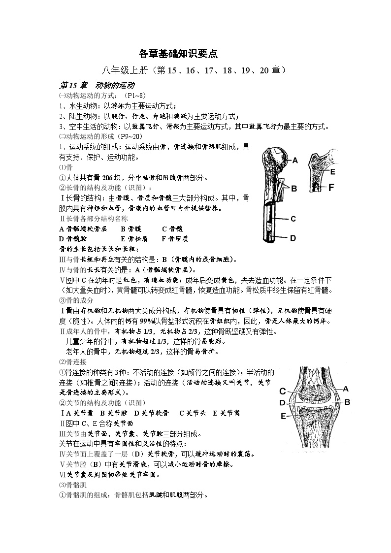 最新人教版八上生物期末复习知识点提纲专项训练