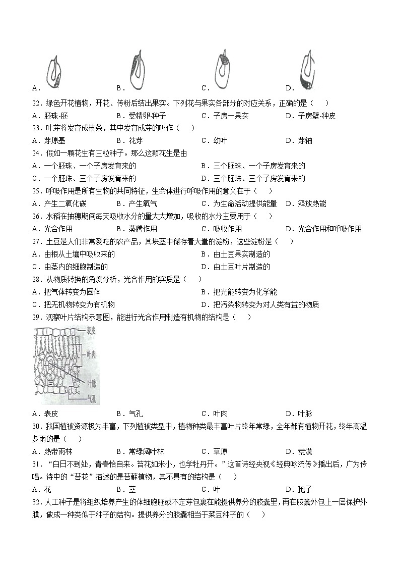 辽宁省盘锦市兴隆台区2023-2024学年七年级上学期期末生物学试题第3页