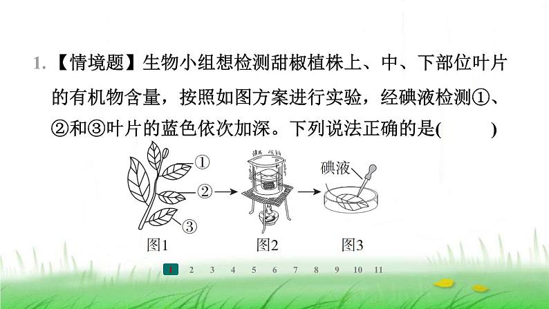 冀少版八年级生物上册第三、四、五章整合练课件第2页