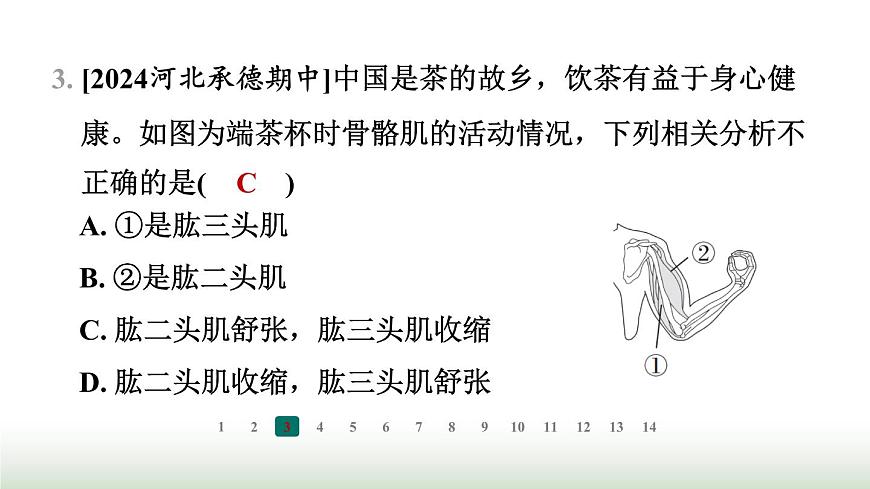 冀少版八年級(jí)生物上冊(cè)專項(xiàng)突破4動(dòng)物的運(yùn)動(dòng)與行為課件第4頁(yè)
