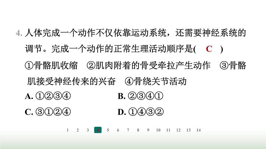 冀少版八年級(jí)生物上冊(cè)專項(xiàng)突破4動(dòng)物的運(yùn)動(dòng)與行為課件第5頁(yè)