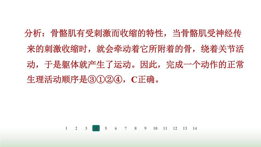 冀少版八年級(jí)生物上冊(cè)專項(xiàng)突破4動(dòng)物的運(yùn)動(dòng)與行為課件第6頁(yè)