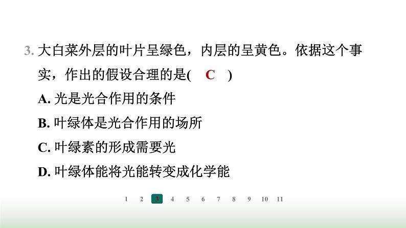 冀少版八年级生物上册专项突破3光合作用和呼吸作用课件04