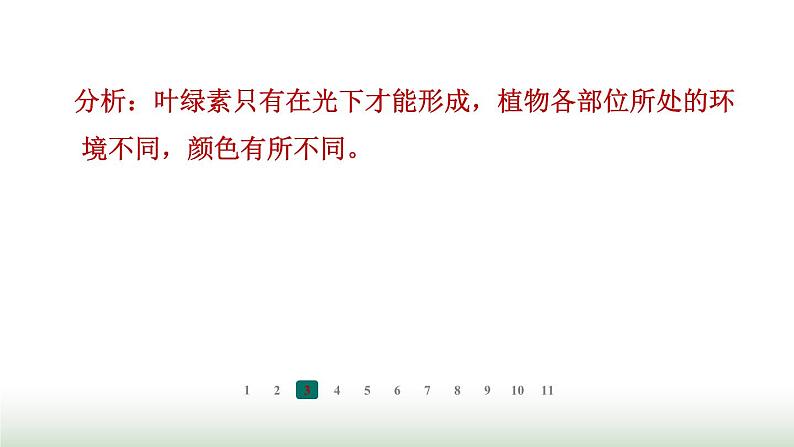 冀少版八年级生物上册专项突破3光合作用和呼吸作用课件05