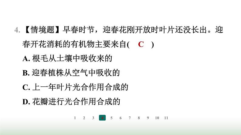 冀少版八年级生物上册专项突破3光合作用和呼吸作用课件06