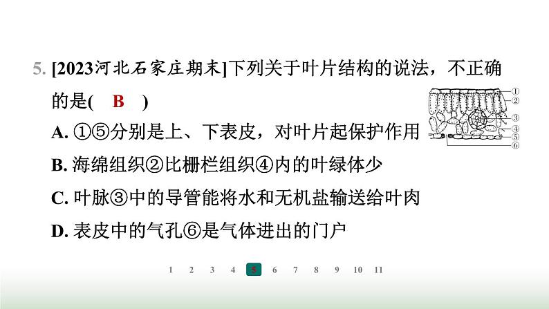 冀少版八年级生物上册专项突破3光合作用和呼吸作用课件07