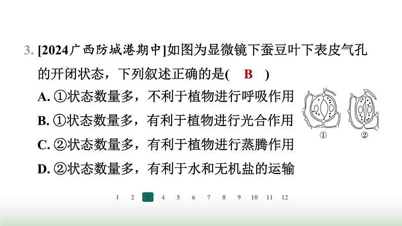 冀少版八年级生物上册专项突破2根对水分的吸收和蒸腾作用课件第6页