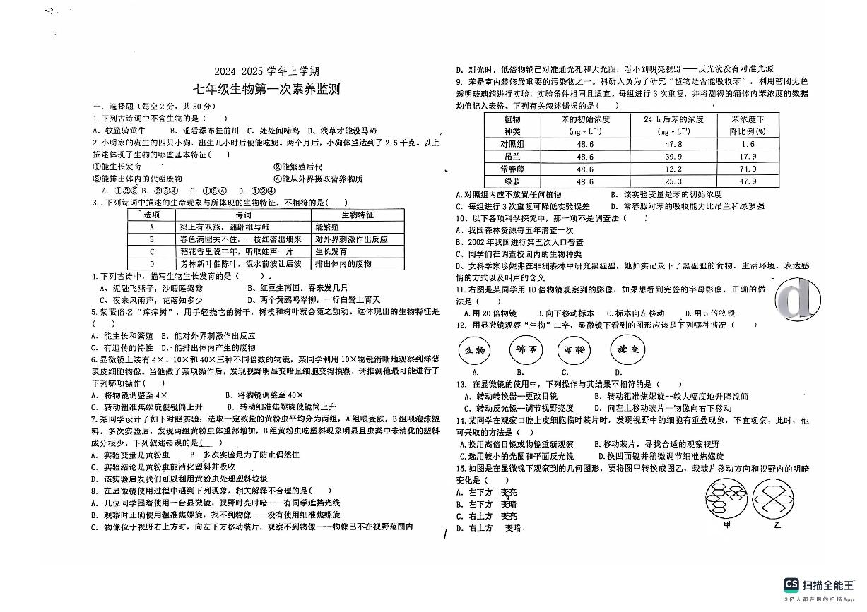 山东省德州市宁津县第四实验中学2024-2025学年七年级上学期10月月考生物试题