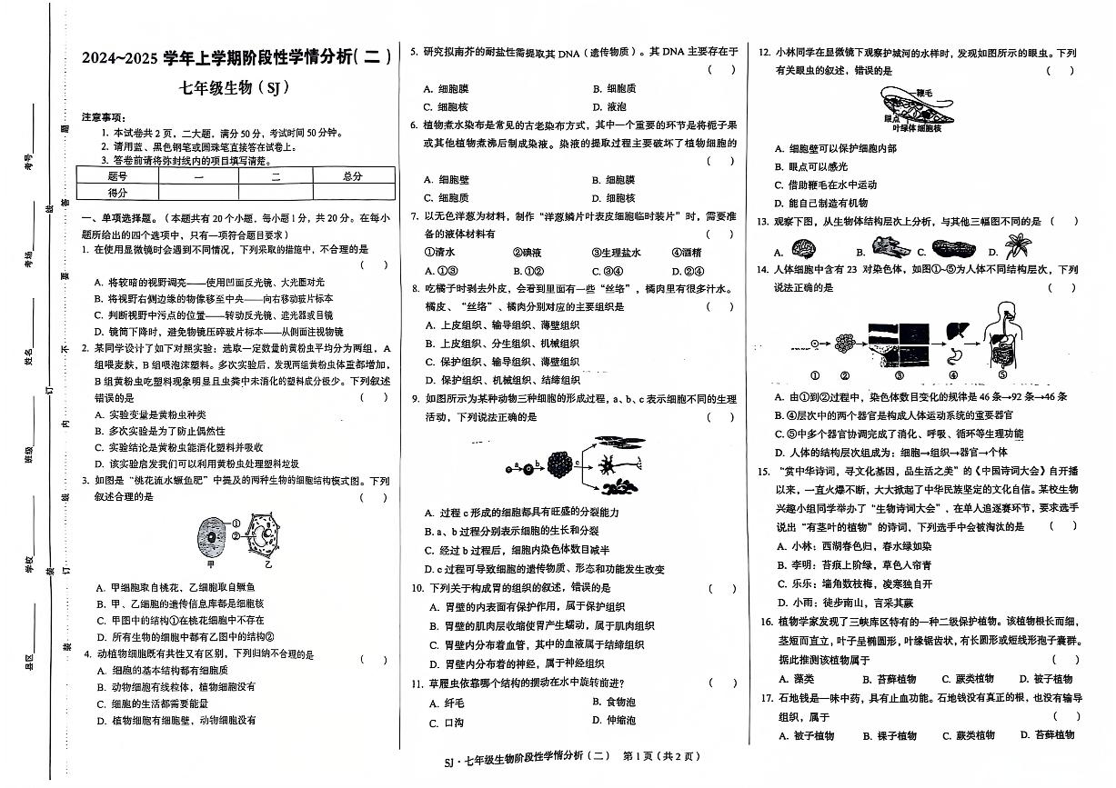 河南省周口市西华县青华中英文学校2024-2025学年七年级上学期10月月考生物试题