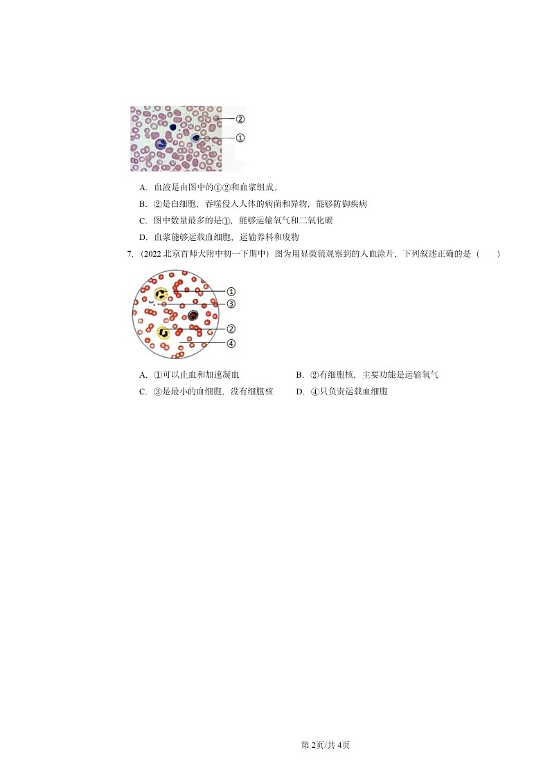 2022~2024北京重点校初一下学期期中真题生物分类汇编:流动的组织──血液第2页
