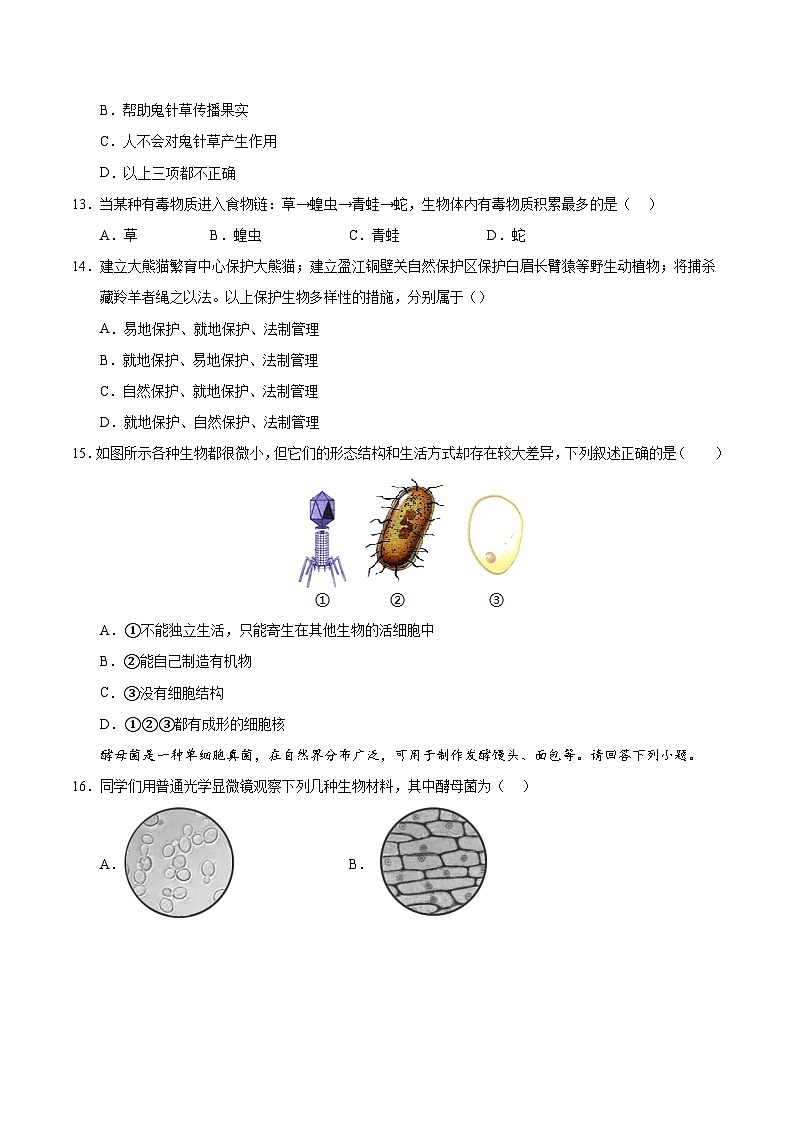 八年级生物期中模拟卷【测试范围:第15~18章】(考试版A4)(北师大版)第3页