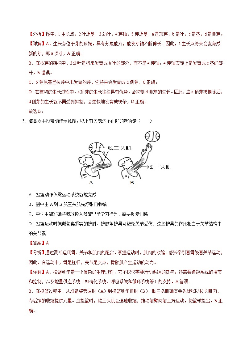 八年級(jí)生物期中模擬卷(全解全析)(冀少版)第2頁(yè)