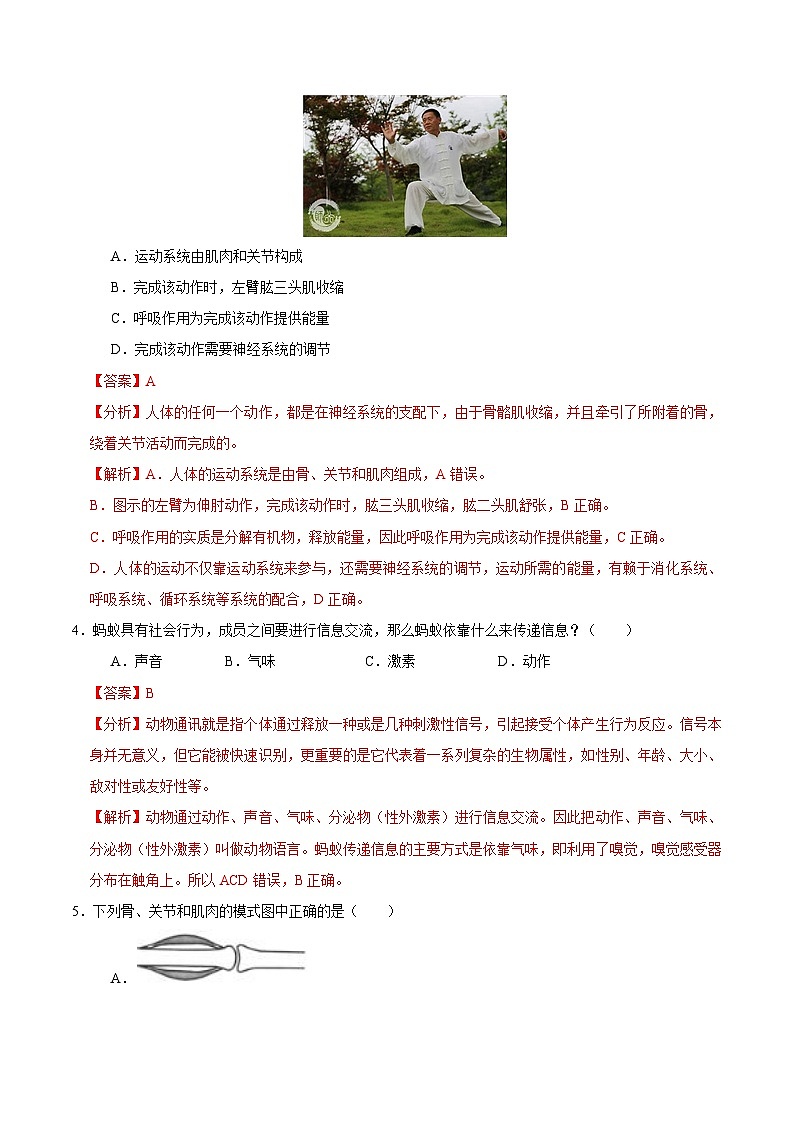 八年级生物期中模拟卷(全解全析)(北京版)第2页