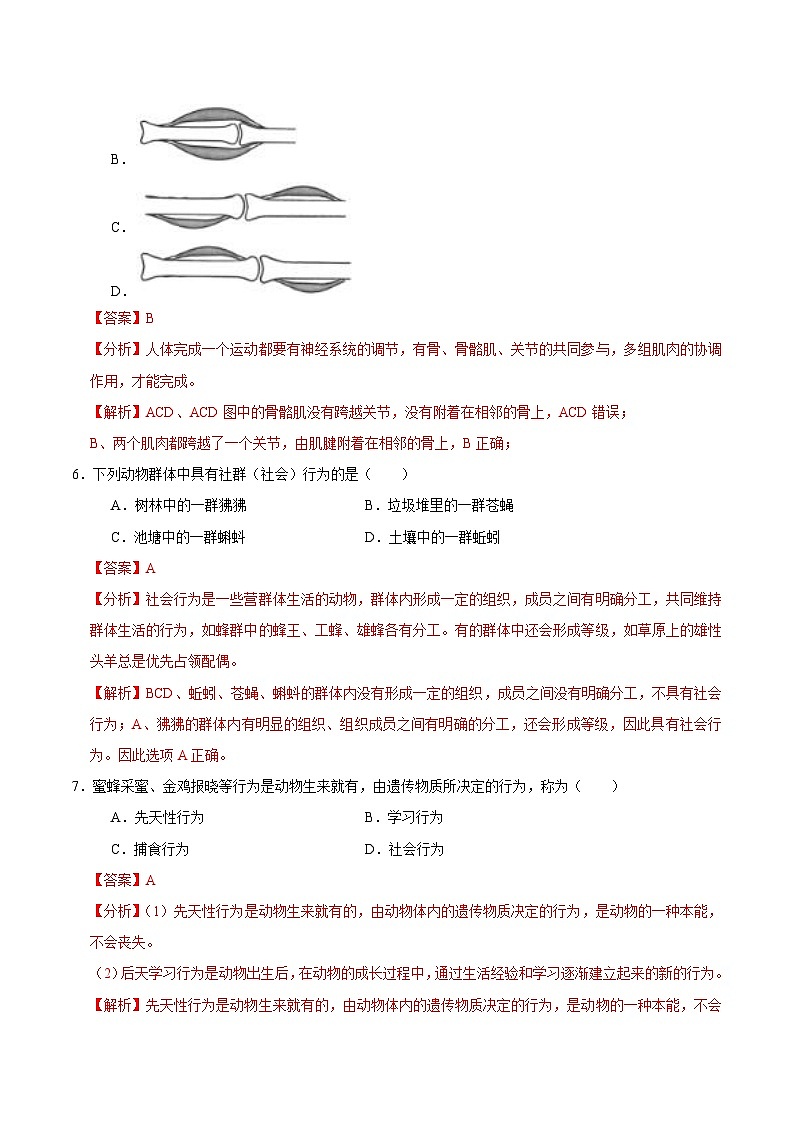 八年级生物期中模拟卷(全解全析)(北京版)第3页