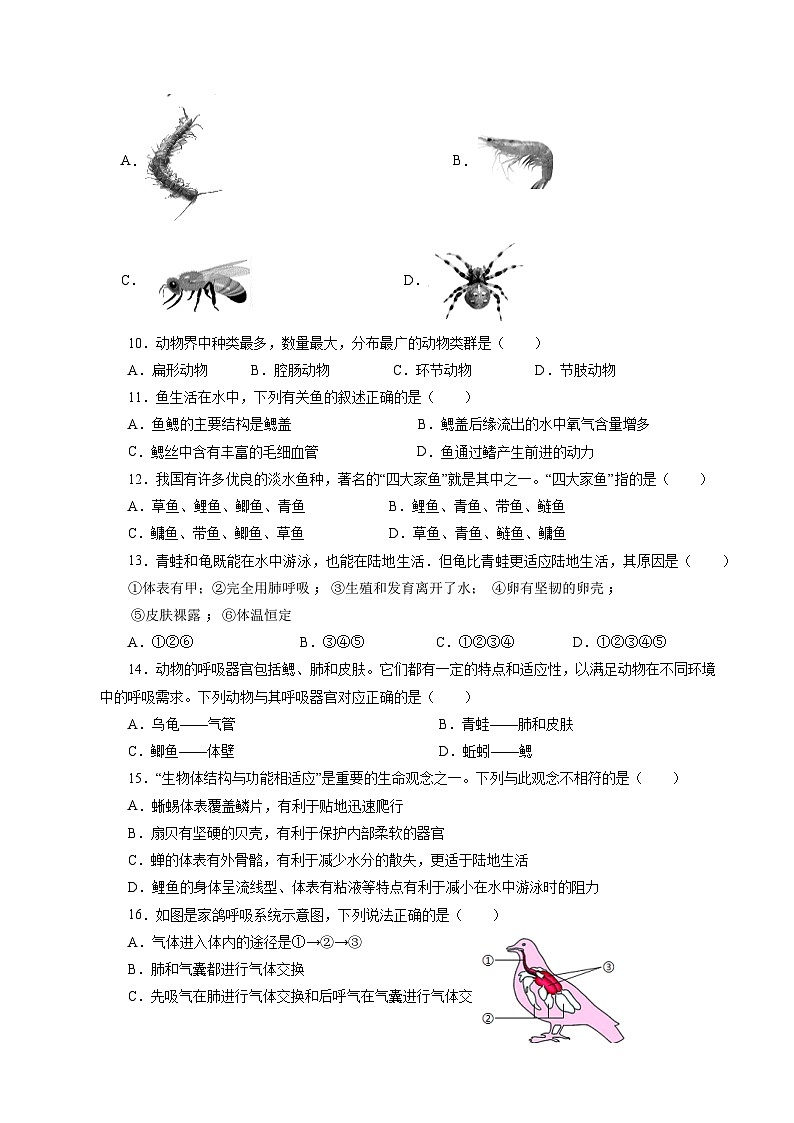 八年级生物期中模拟卷(考试版A4)(天津专用)第2页