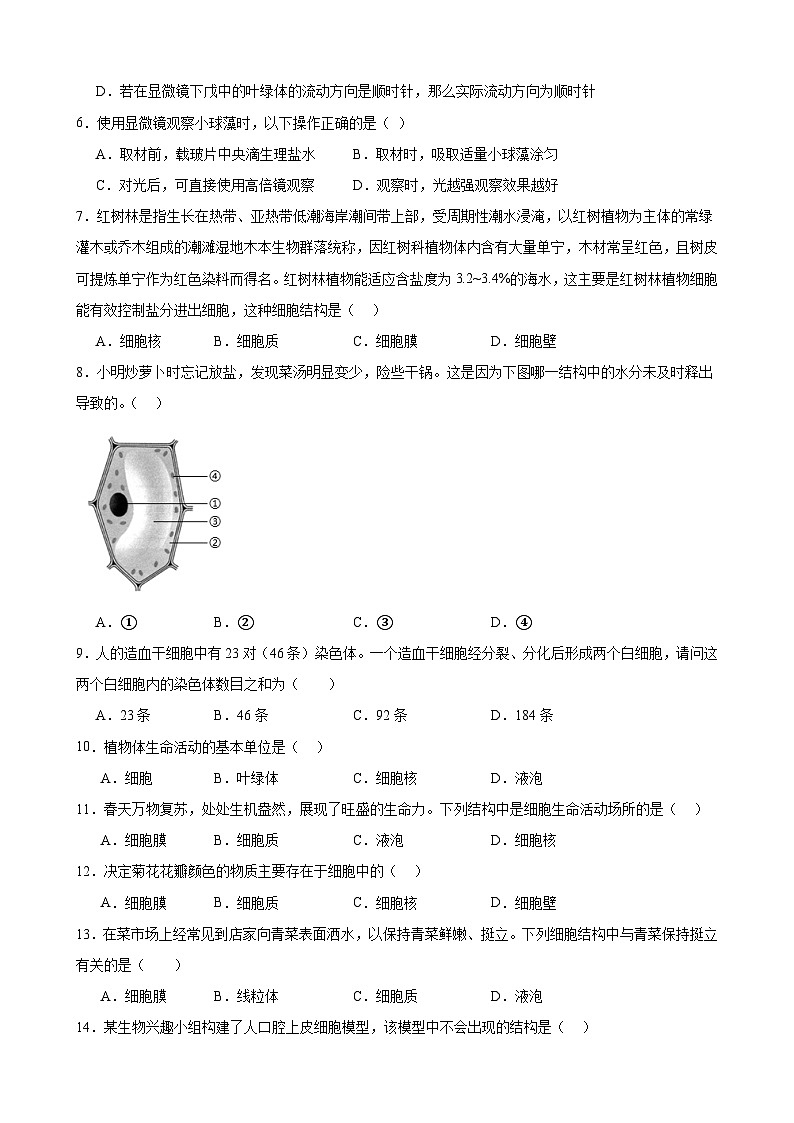 甘肅省武威五中聯(lián)片教研2024-2025學(xué)年七年級(jí)上學(xué)期10月期中生物試題第2頁(yè)