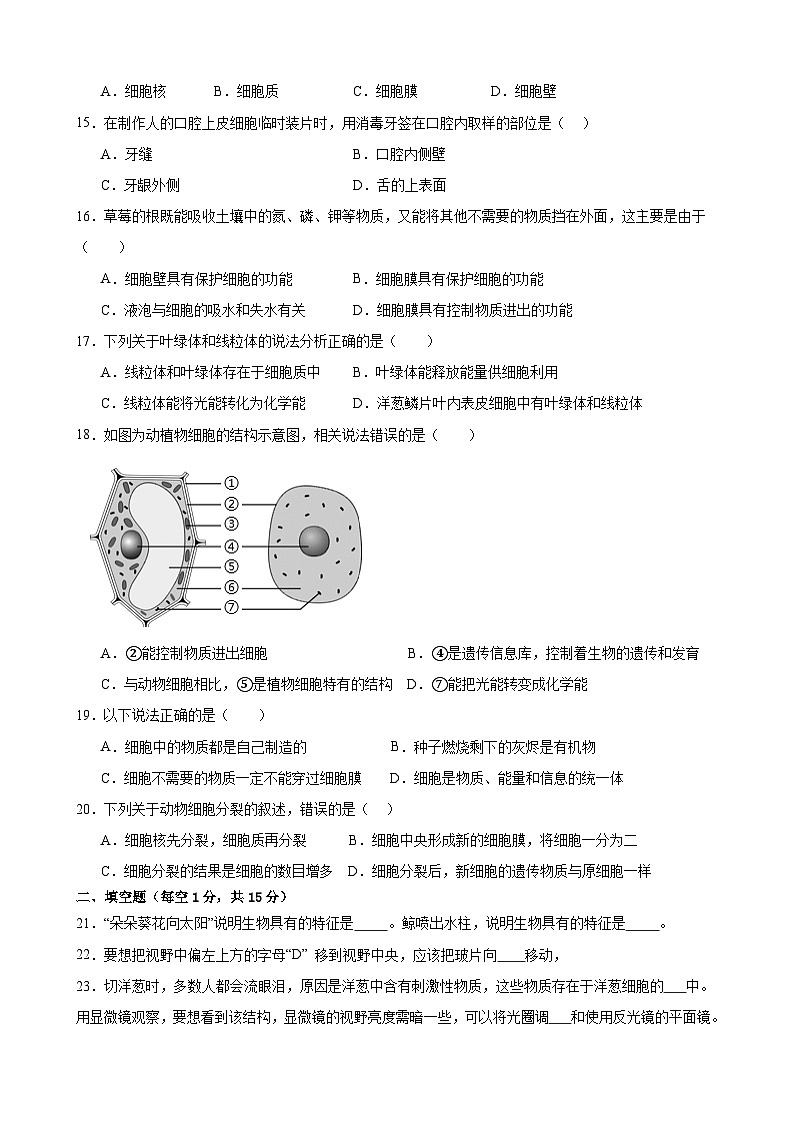 甘肅省武威五中聯(lián)片教研2024-2025學(xué)年七年級(jí)上學(xué)期10月期中生物試題第3頁(yè)