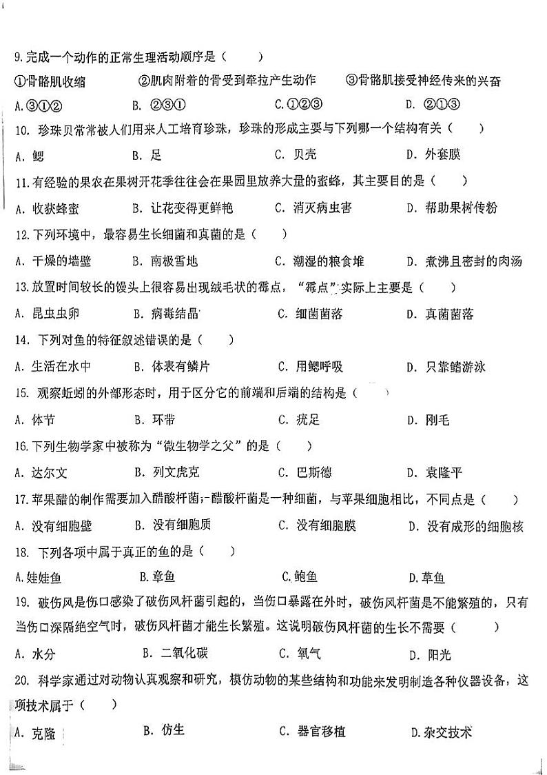 甘肃省嘉峪关市实验中学2024-2025学年八年级上学期10月期中生物试题02