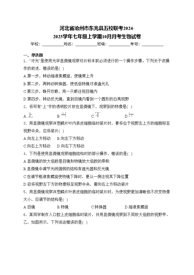 河北省沧州市东光县五校联考2024-2025学年七年级上学期10月月考生物试卷(含答案)