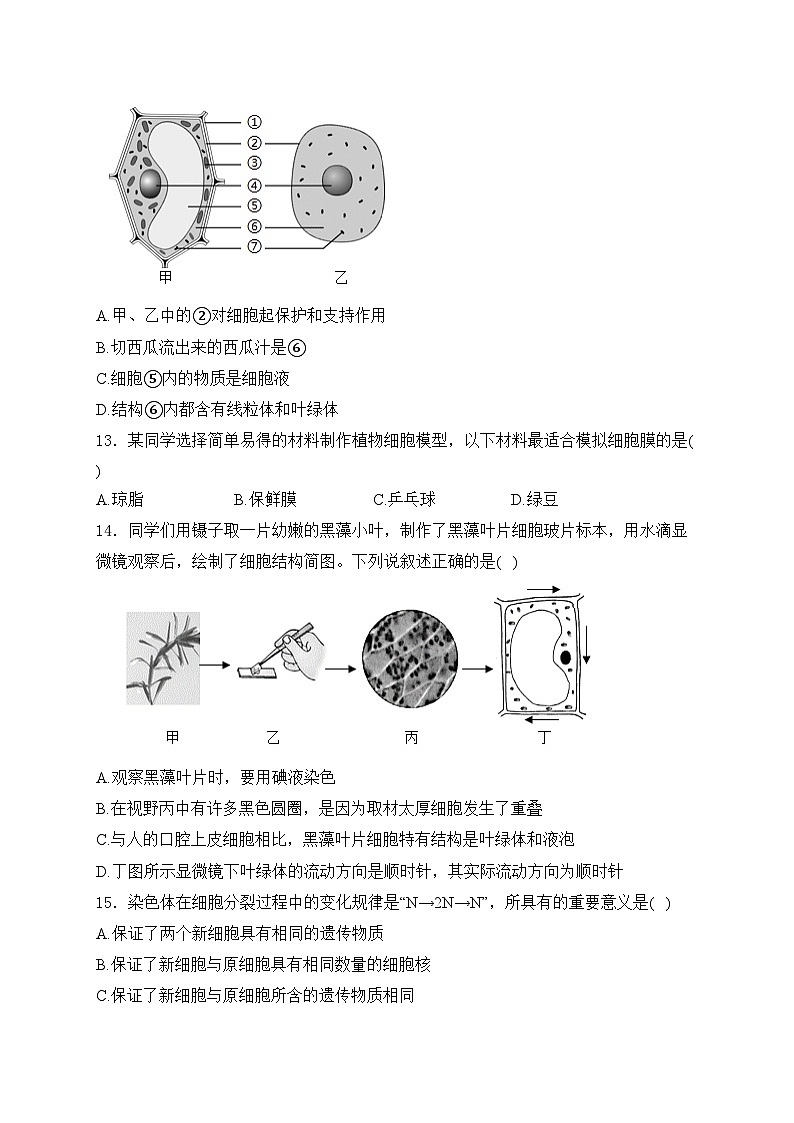 河北省沧州市东光县五校联考2024-2025学年七年级上学期10月月考生物试卷(含答案)第3页
