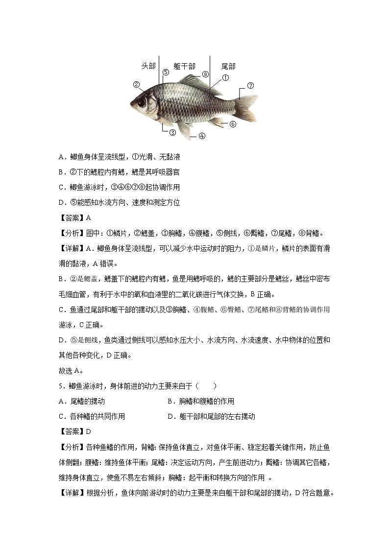 八年级上学期期中生物模拟卷(解析版)(重庆专用)第3页