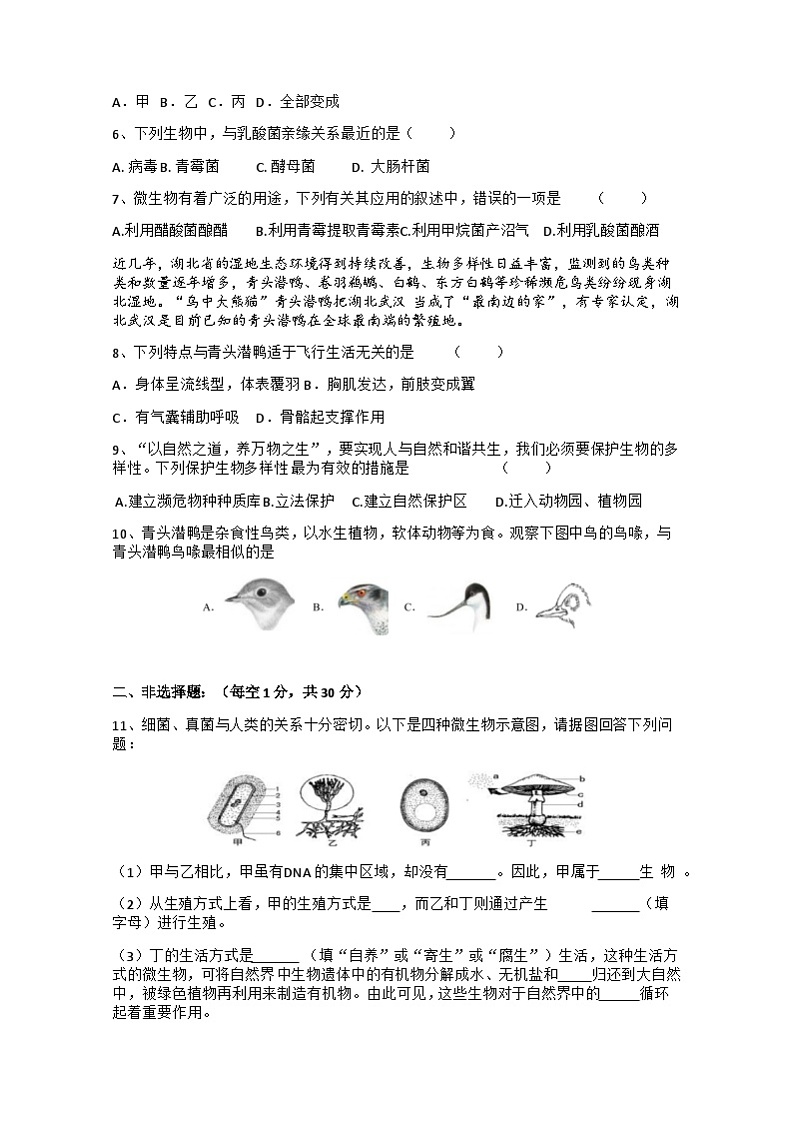 试题第2页