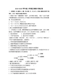 内蒙古通辽市科尔沁左翼中旗2024-2025学年八年级上学期期中考试生物试题