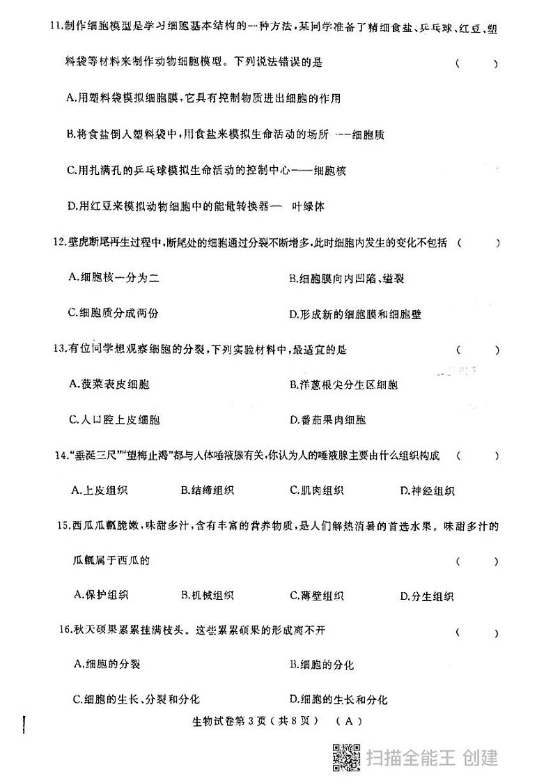 生物初一上学期期中考试第3页