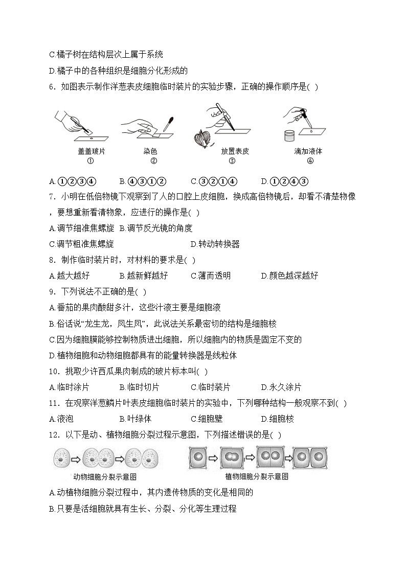 江西省吉安市永丰县十一校联考2024-2025学年七年级上学期10月月考生物试卷(含答案)第2页