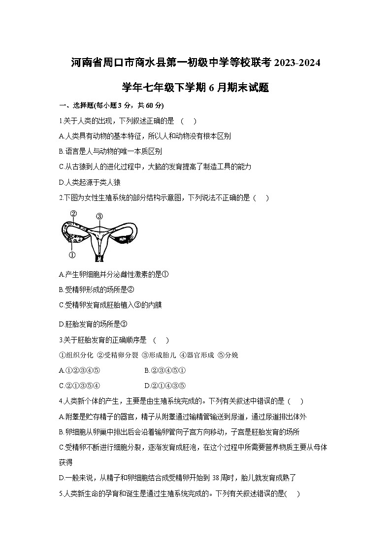 河南省周口市商水縣第一初級中學(xué)等校聯(lián)考2023-2024學(xué)年七年級下學(xué)期6月期末生物試卷第1頁