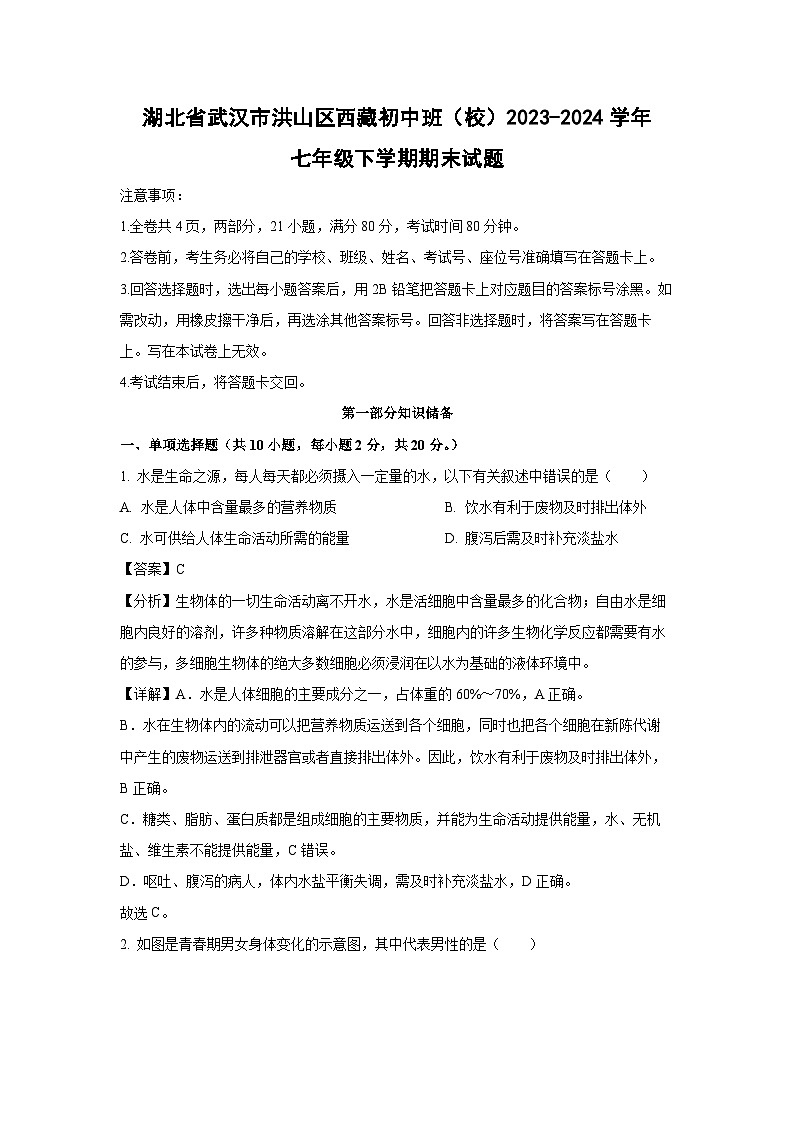 湖北省武汉市洪山区西藏初中班(校)2023-2024学年七年级下学期期末生物试卷(解析版)第1页