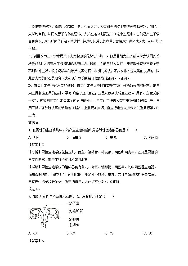 陜西省西安市臨潼區(qū)2022-2023學年七年級下學期期中生物試卷（解析版）第3頁